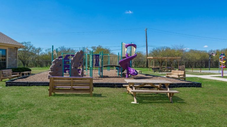 Picnic Area 1 1 768x432