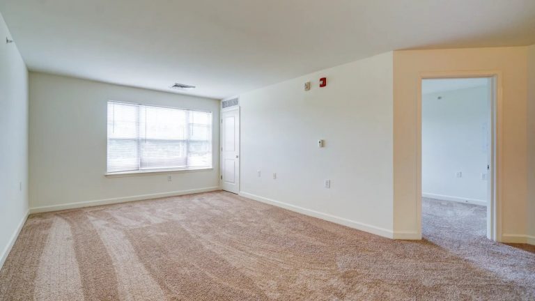 b115100f075161b8879874dc717c99de 768x432